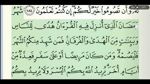 صفحة رقم 28 الشيخ وديع اليمني القرآن الكريم
