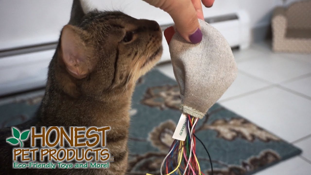 Honest Pets Eco-Tugger - Small main image 1