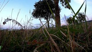 Wizard X220 Fpv With A Sjcam Sj5000X Elite Actioncam