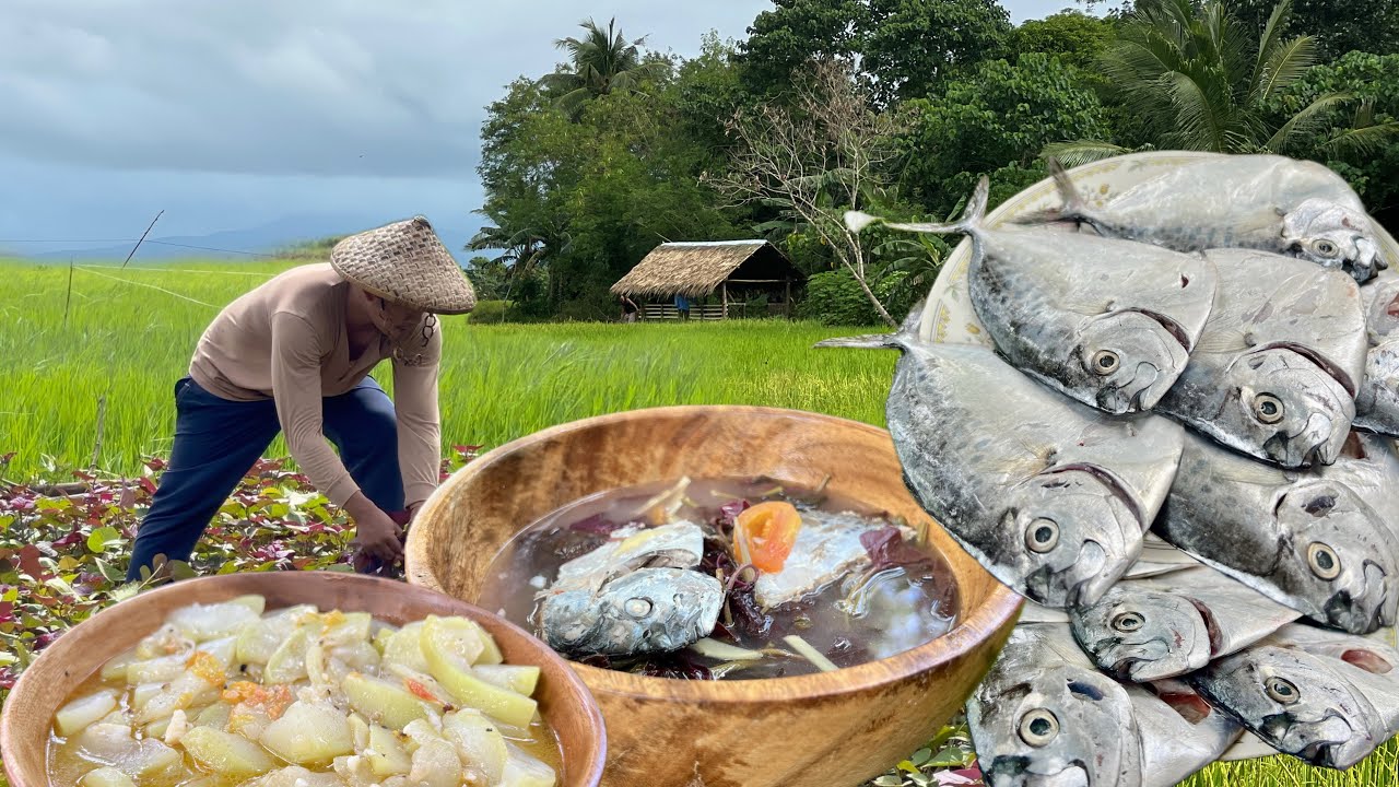 Moonfish Soup in the Windy Countryside | Backyard Greens