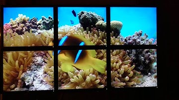 6* Pi-3 Piwall after upgrade.