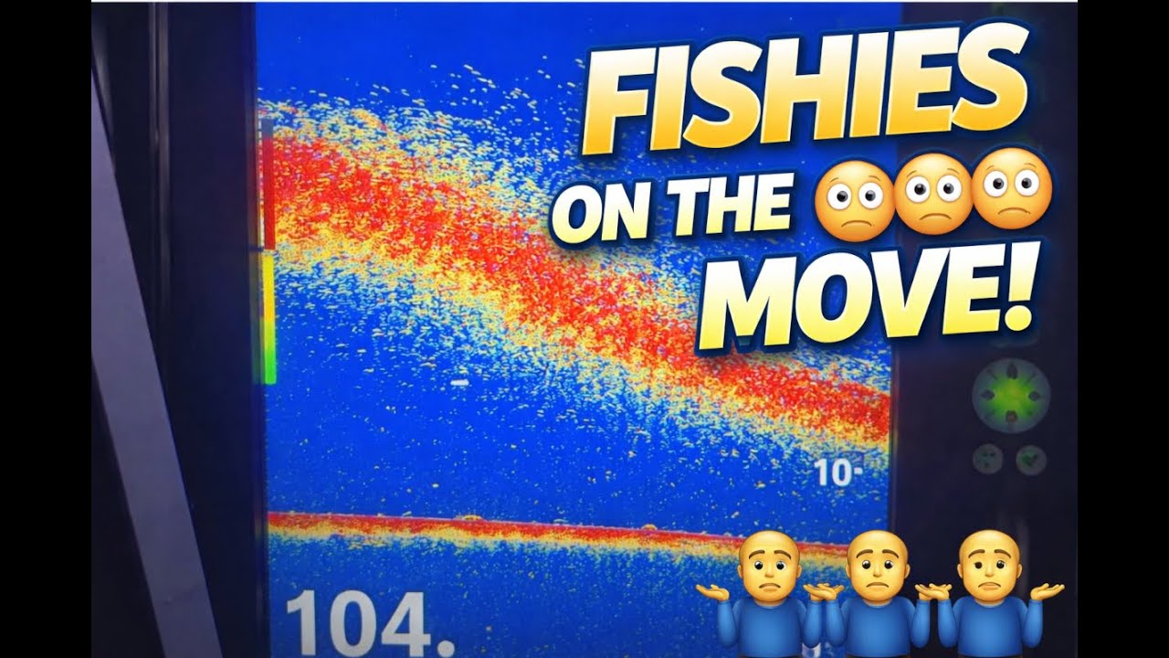 Fish on the Move 😳 | What’s Showing on the Sounder