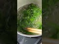 Boiled SALUYOT MOROHEYA TUGABANG healthy leaves benefits vitamin E&C #food #discoveryjapan #japan