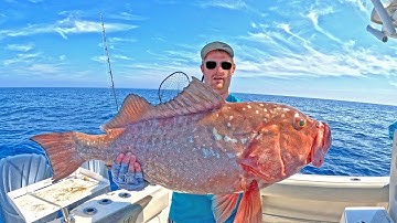FOUR Hour UNCUT Gulf Saltwater Red Grouper Offshore Fishing Adventures