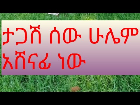 ቪዲዮ: ጀርመኖች እንዴት ይኖራሉ