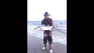 Striped Bass Fishing - Caught 2 Beautiful Bass ( 05/13/2024 )