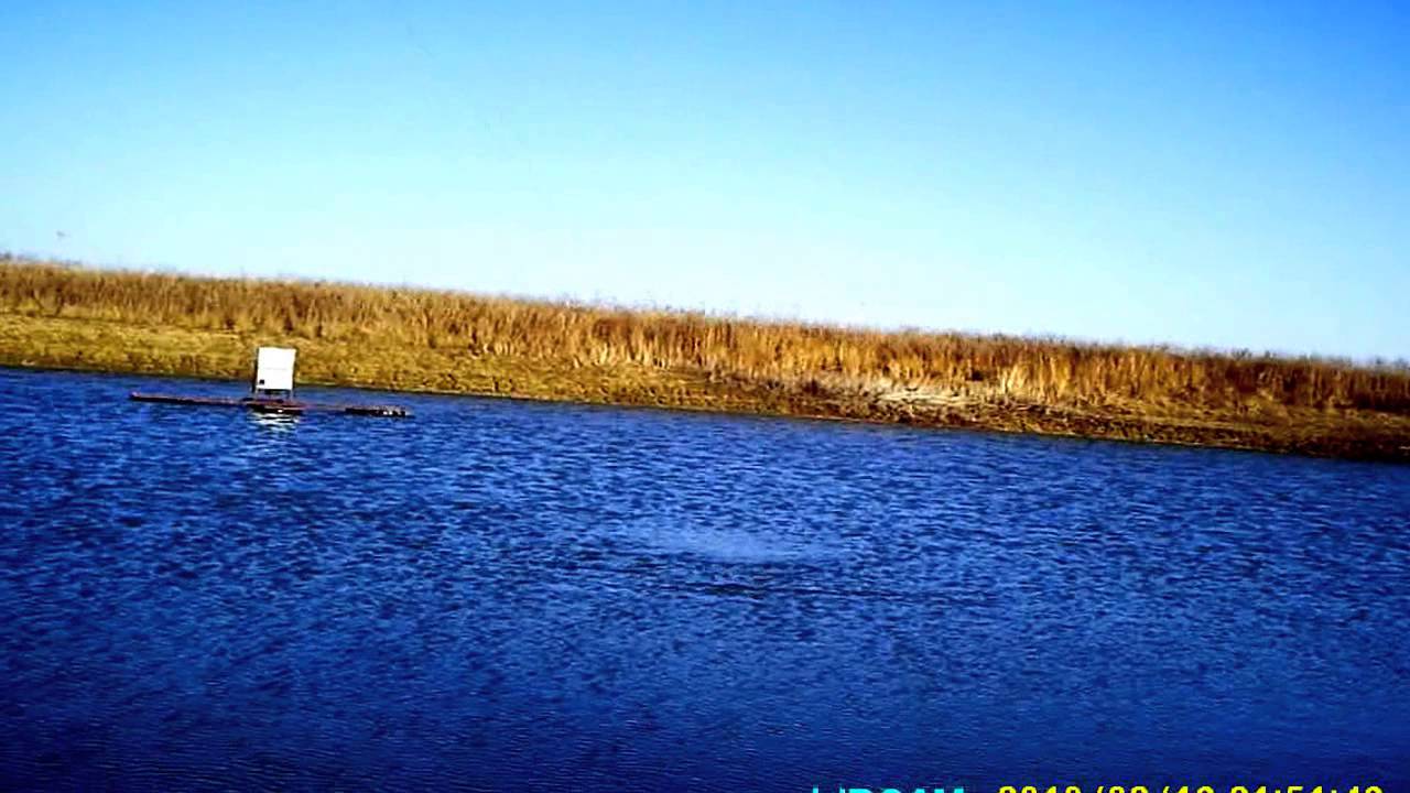 Kansas Bass Fishing YouTube