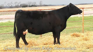 Lot 64 - GRSM Secret Diamond 415H