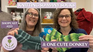 Shopcast 223: Knitting So Many Socks & One Cute Donkey