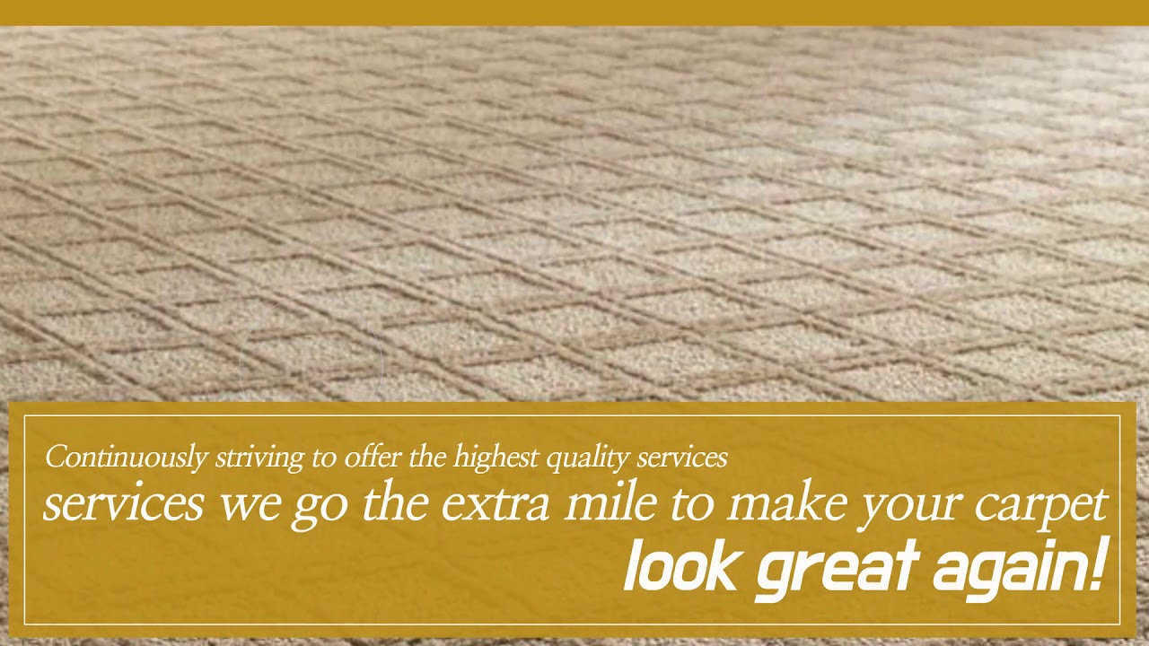 Why Water Damaged Carpet Need Professional Service- Consult SOL Carpet Repair