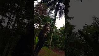 Sekali Shoot Langsung Tumbang