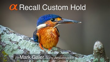 Recall Custom Hold - Sony Alpha Custom Camera Setting