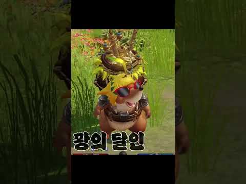 모코코가 부끄러운 순간 #shorts #로스트아크
