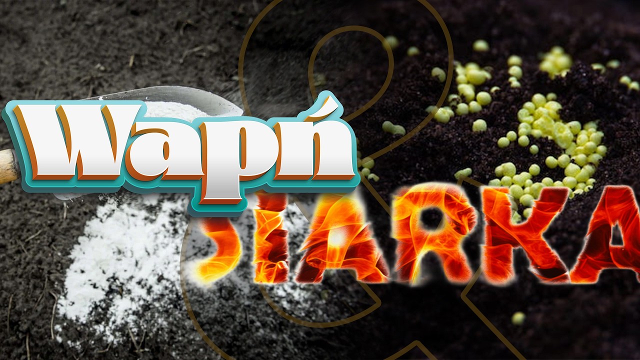 Wapń i siarka w odżywianiu roślin - jak naprawdę działają?