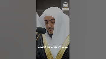  وَعَلَى الَّذِينَ هَادُوا حَرَّمْنَا كُلَّ ذِي ظُفُرٍ ۖ  الشيخ وليد الشمسان تلاوه من سورة الأنعام.