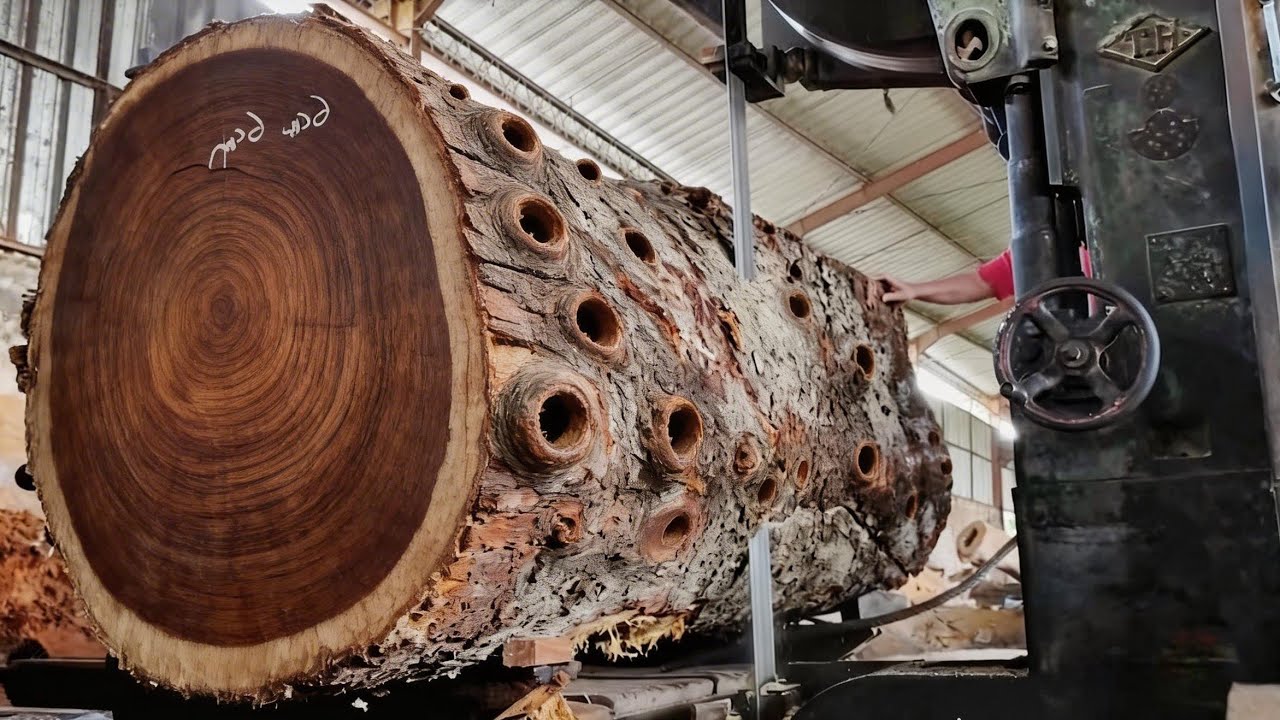 The sawing process for exotic fiber trembesi wood ordered by a big ...