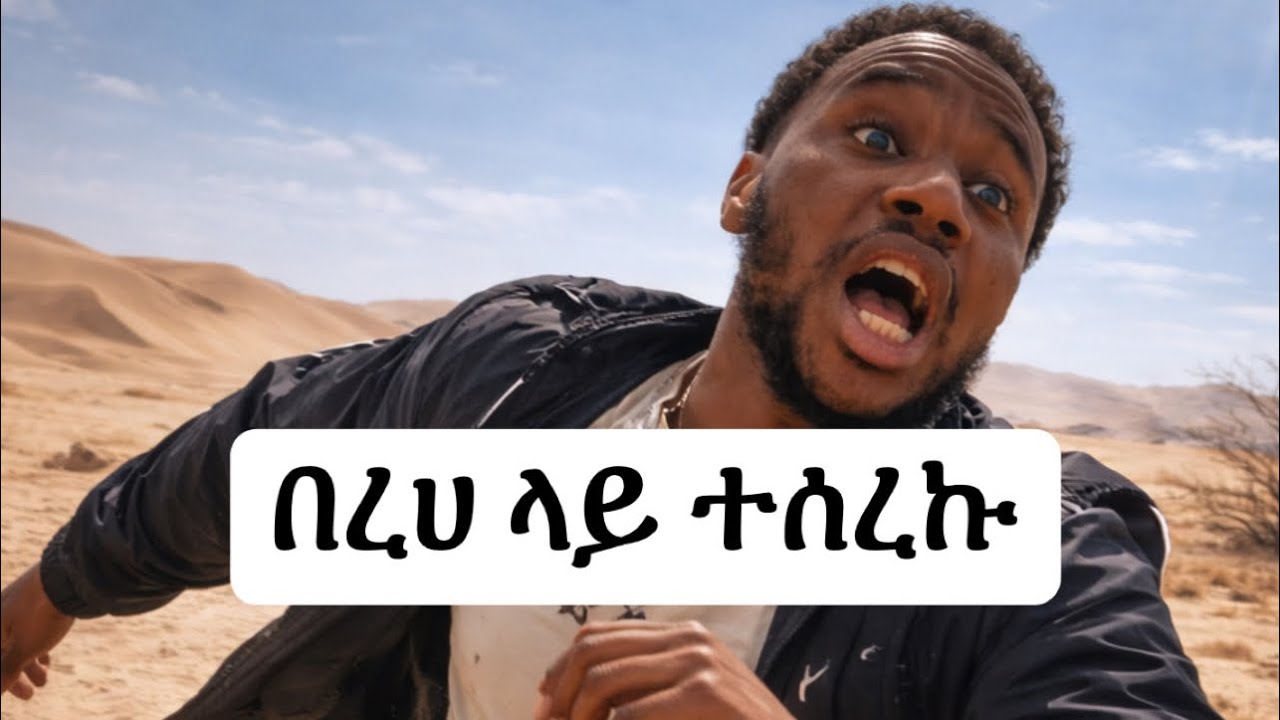 Road trip by bus 🚌 