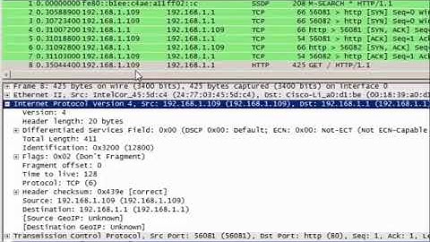 Examples of IPv4 headers in Wireshark