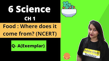 Class 6 Science NCERT Chapter 1|Exemplar Question Answer| Food : where does it come from?