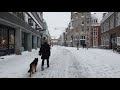 Winter walk in Utrecht during a snowfall ❄️🌨️ | The Netherlands 4K (2021)