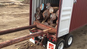 Loading a container with Walnut logs