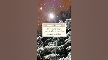 SURAH FATIR • سورة فاطر