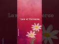 Law of the universe l Law of attraction #quotes #inspiration #mindset #motivation