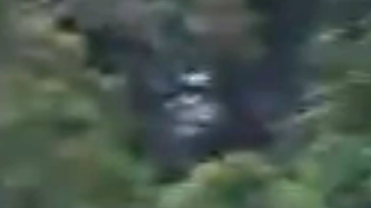 Bigfoot filmed on Sumatra YouTube