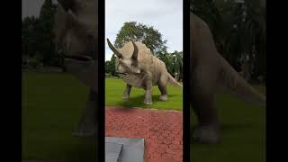 3d Triceratops screenshot 2