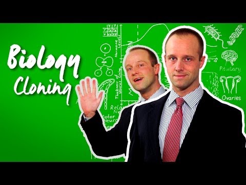 Cloning - GCSE IGCSE 9-1 Biology - Science - Get That C In your GCSE and IGCSE