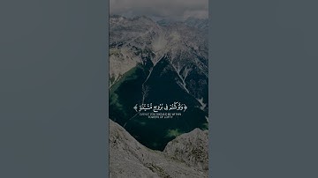 تلاوة خاشعة للشيخ ياسر الدوسري #قرآن #قران_كريم #المصحف #راحة_نفسية #quran