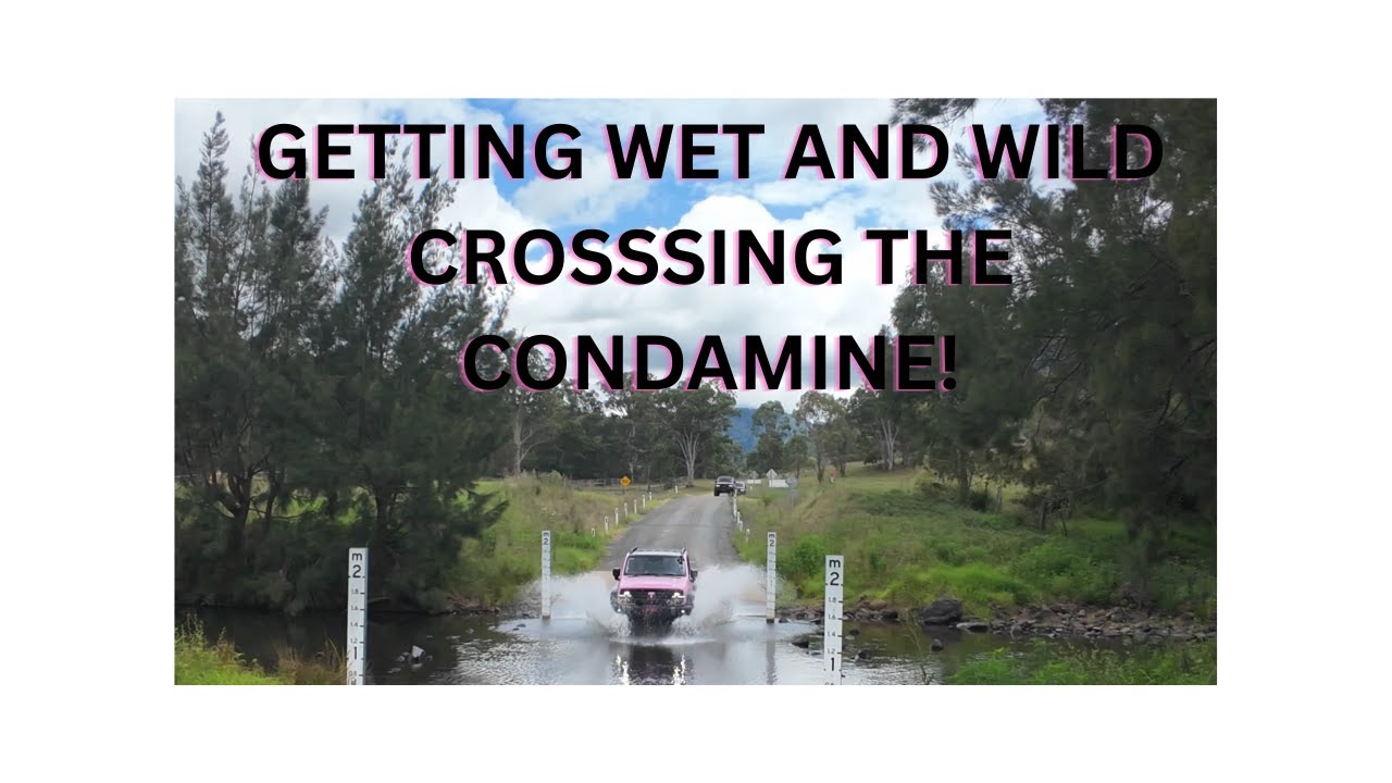 The Condamine River Track. #offroad #australia #adventure #trending #rivercrossing #gwm #isuzu