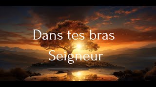 DANS TES BRAS SEIGNEUR | INSTRUMENTAL | WORSHIP | SOAKING | INTIMITÉ | INTERCESSION | PRIERES