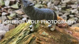 Schleich wolf photography