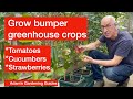 Greenhouse gardening  summer growing guide