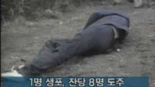 잠수함 이용해 동해안에 침투한 북한군 11명 자폭