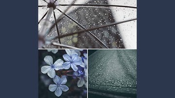 Mellow Moods for Chilly Evening