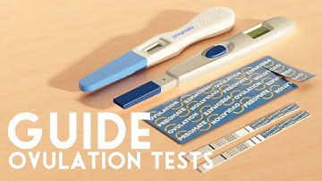When Are You ACTUALLY Fertile? | How to Use Ovulation Tests to Get Pregnant Faster