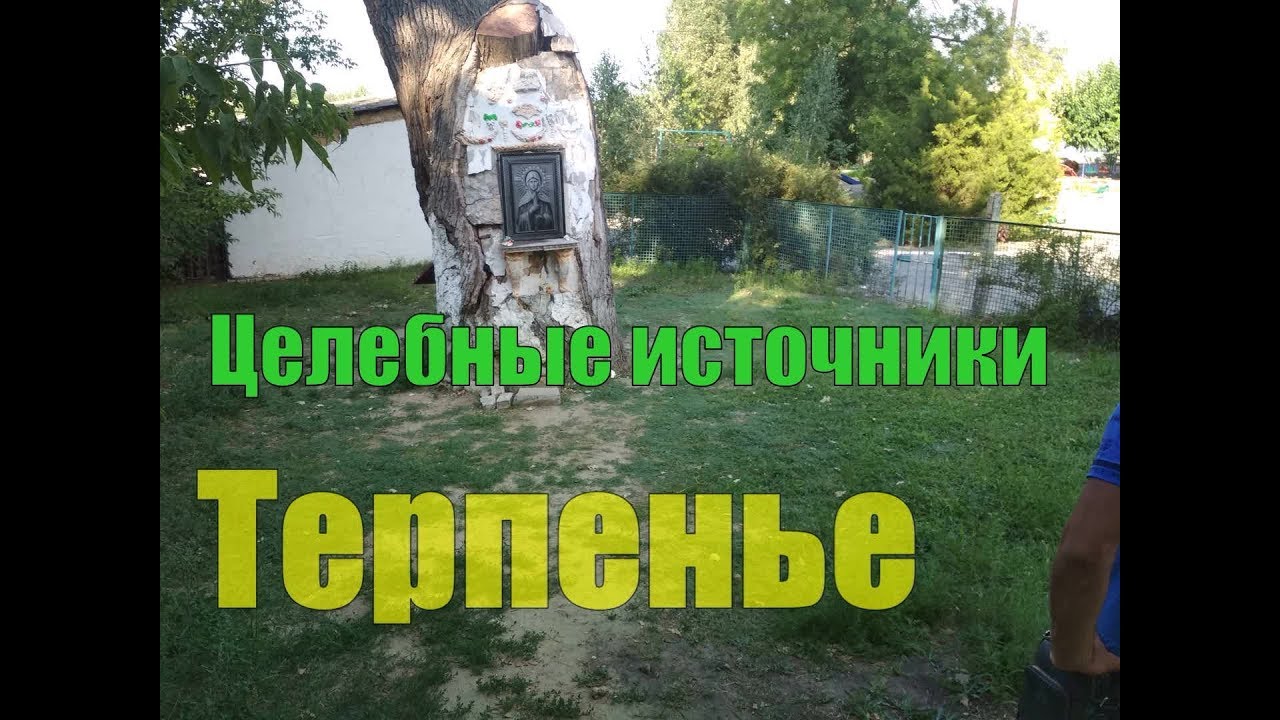 Терпенье источники