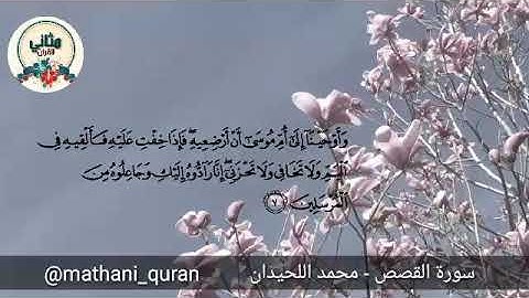 تلاوة رائعة من سورة القصص | محمد اللحيدان . { فرددناه إلى أمه كي تقرّ عينها ولا تحزن } quran