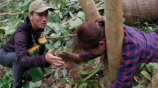 Going into the forest to find food, the girl fell and got stuck, and was helped by a kind boy