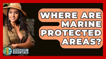 Where Are Marine Protected Areas? - Ecosystem Essentials