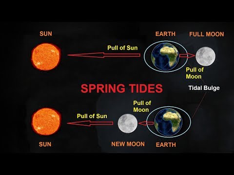 What Causes Tides?