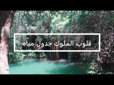 قلوب الملوك جدول مياه Het Hart Van Koningen Is Als Waterbeken 