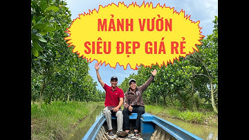 🧧ĐÃ BÁN🧧 MẢNH VƯỜN SIÊU ĐẸP GIÁ RẺ TẠI VĨNH LONG