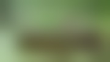 The M: Chapter 1: The First M