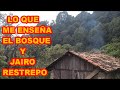 EL BOSQUE Y JAIRO RESTREPO, SABIDURÍA QUE DA LA TIERRA Y MI GRAN MAESTRO