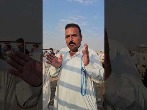 مامعنى لفظة يخرت