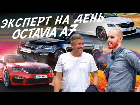 НАЙТИ ЗА ДЕНЬ ЖИВУЮ SKODA OCTAVIA A7! АВТОПОДБОР #autofact