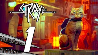 Stray - Gameplay Walkthrough Part 1 (PS5)